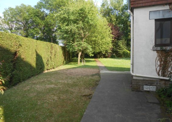 Travaux d'abattages et dessouchages d'arbre à Liège