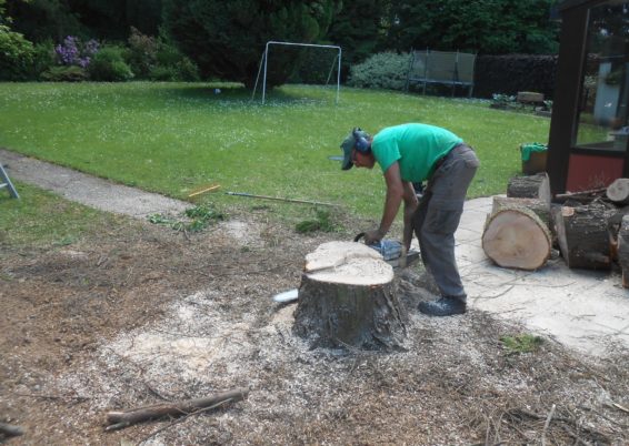 Travaux d'abattages et dessouchages d'arbre à Liège