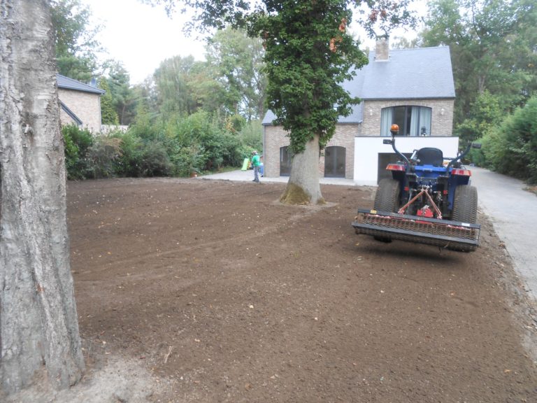 Création de pelouse