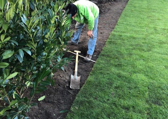 Réfection complète d’un jardin à Haneffe
