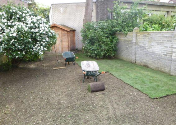 Remplacement du gazon dans un petit jardin