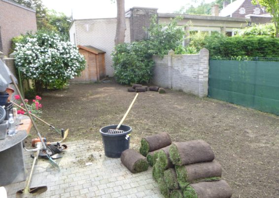 Remplacement du gazon dans un petit jardin