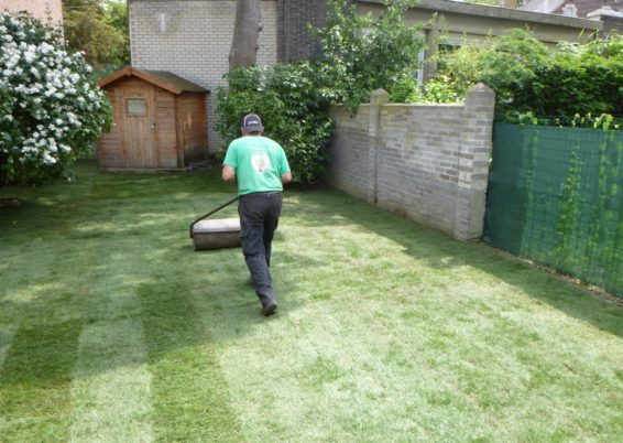 Remplacement du gazon dans un petit jardin