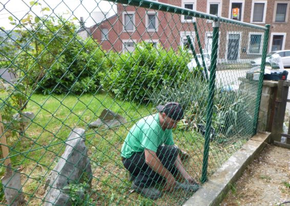 clôtures et portail dans un jardin