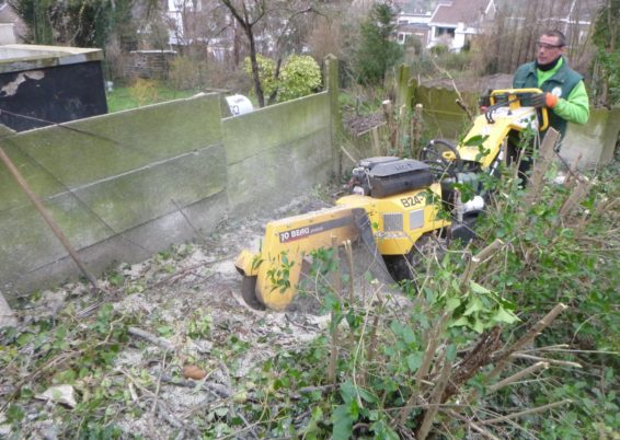 Travaux d’élagage et d'abattage d'arbre