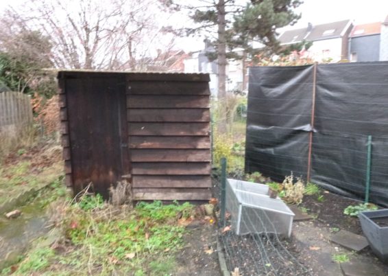 Réaménagement d'un petit jardin de ville à Liège