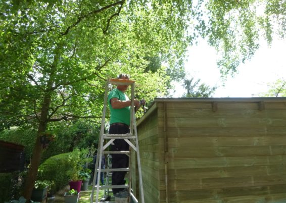 Remplacement d'un chalet de jardin