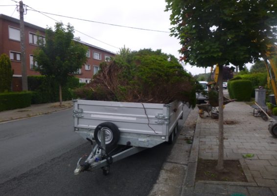 Remplacement d'une haie par une clôture zenturo de betafence et petite palissades.