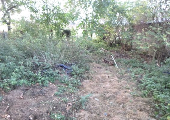 Réaménagement complet d'un jardin à Horion-Hozémont.