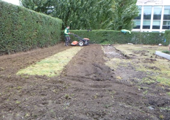 Réfection d'un petit jardin.