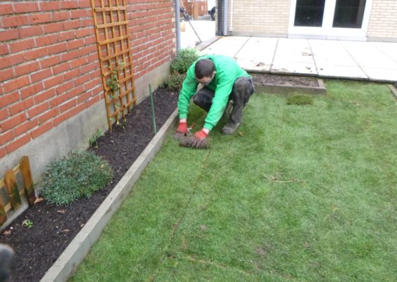 Réfection d'un petit jardin.