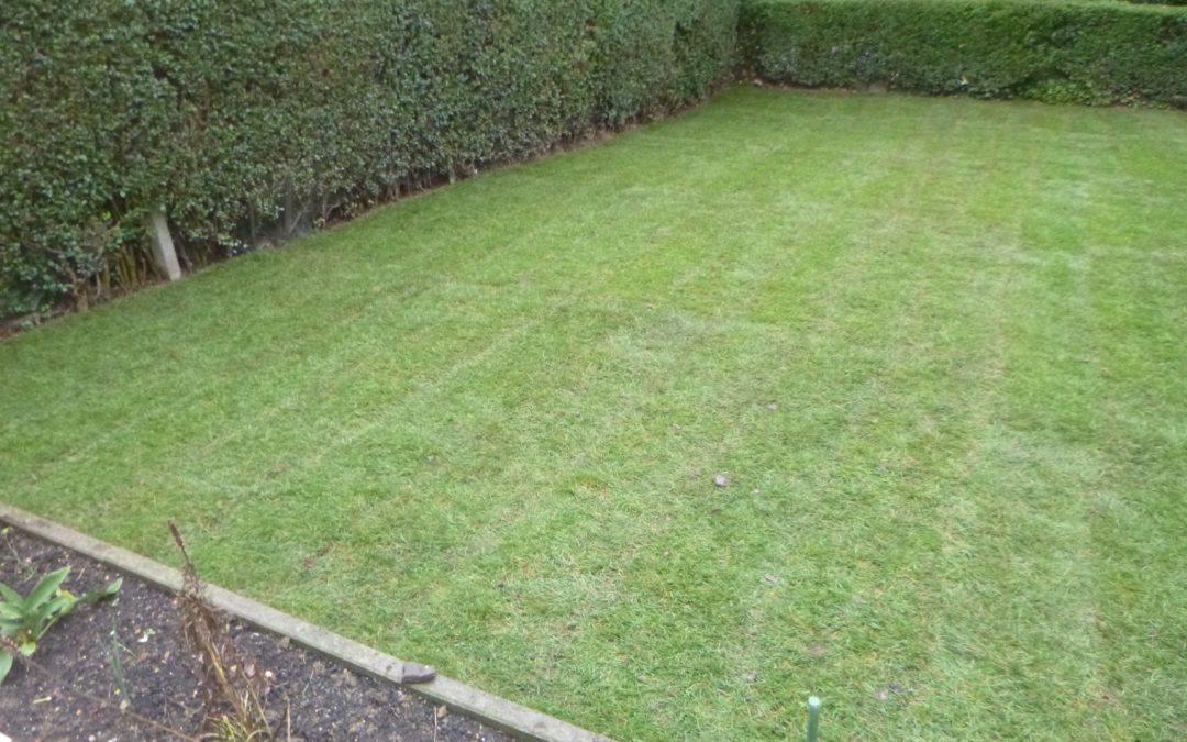 Réfection d’un petit jardin à Seraing