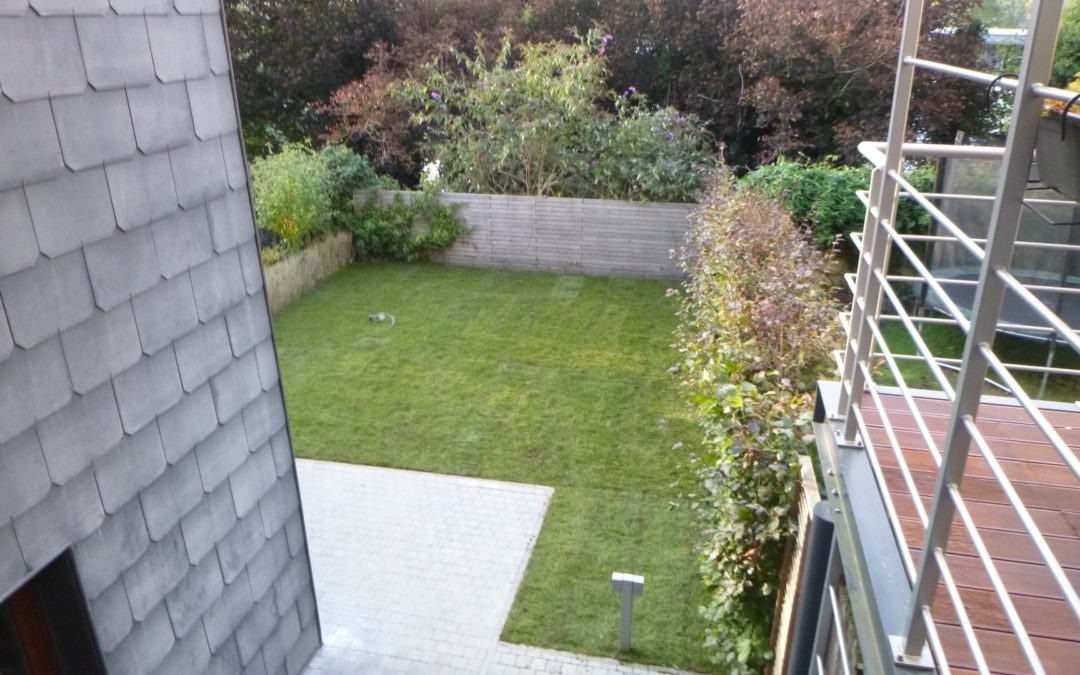 Réaménagement d’un petit jardin à Liège