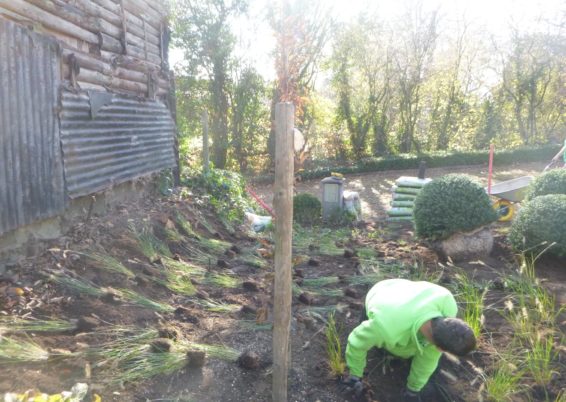 Réalisation d'une plantation à Sprimont