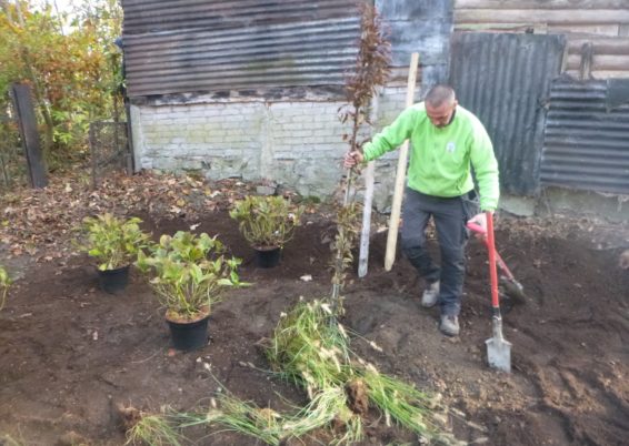 Réalisation d'une plantation à Sprimont