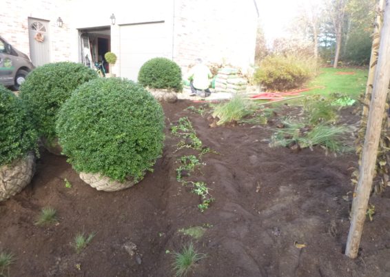 Réalisation d'une plantation à Sprimont