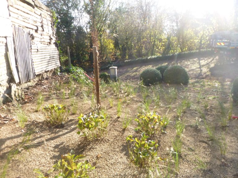 Réalisation d'une plantation à Sprimont