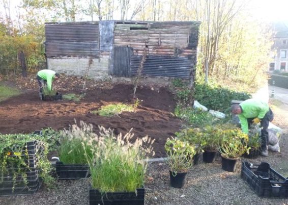 Réalisation d'une plantation à Sprimont