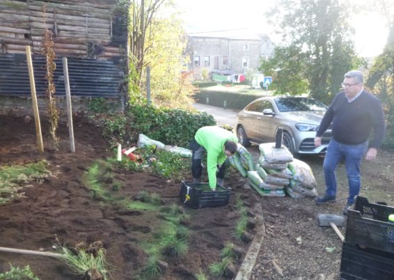 Réalisation d'une plantation à Sprimont