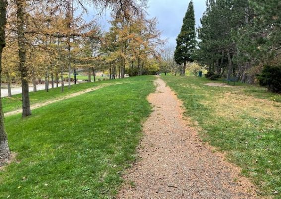 réalisation d'un parc canin