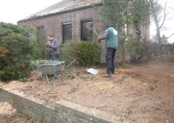 Aménagement de jardin à Ougrée