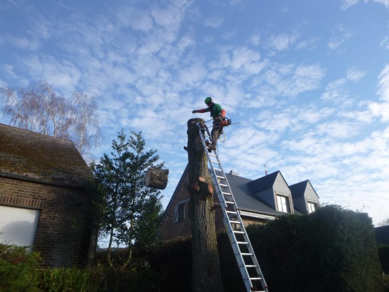 Aménagement de jardin à Ougrée