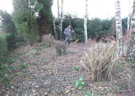 Aménagement de jardin à Ougrée