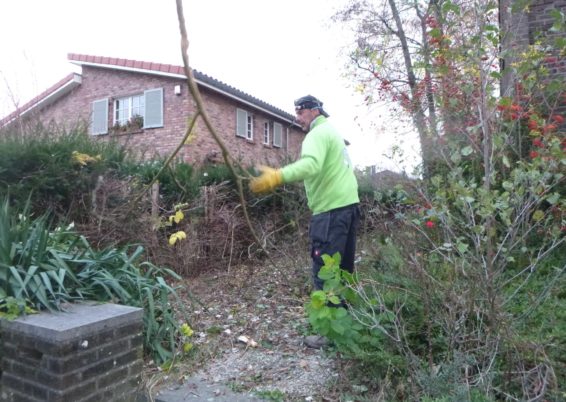 Aménagement de jardin à Ougrée