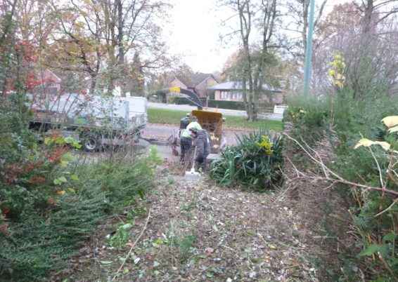 Aménagement de jardin à Ougrée