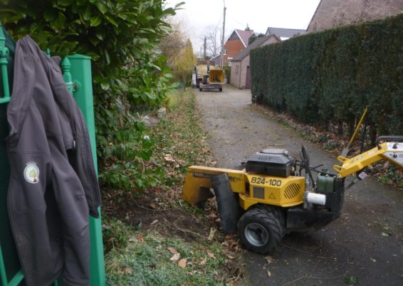 Remplacement d'une haie à Embourg