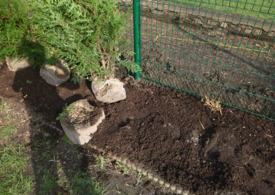 Remplacement d'une clôture et haie