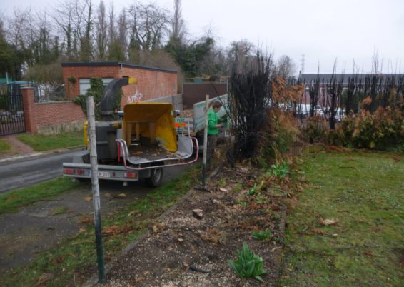 Remplacement d'une clôture et haie
