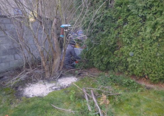 Rénovation complète d'un petit jardin.