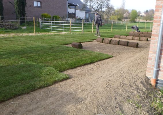 Réalisation de pelouse en rouleaux à Juprelle