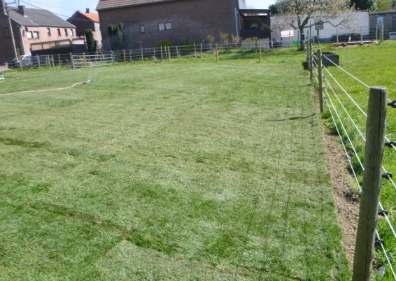 Réalisation de pelouse en rouleaux à Juprelle