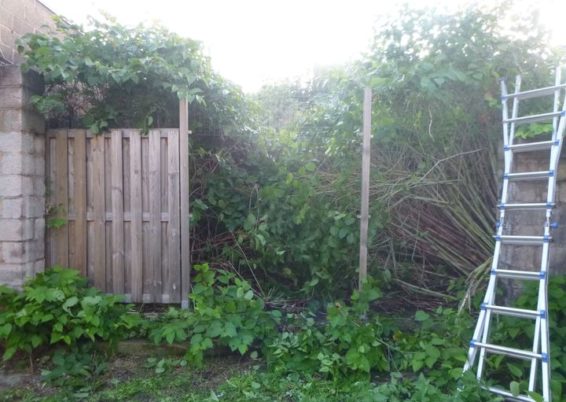 Nettoyage d'un jardin laissé à l'abandon pendant des années pour l'école Sainte Marie à Seraing...
