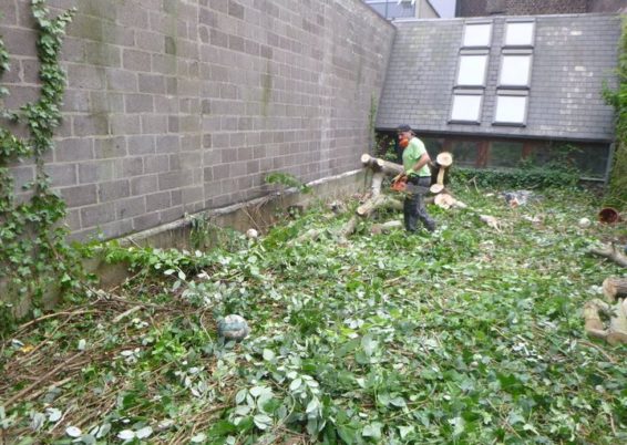 Nettoyage d'un jardin laissé à l'abandon pendant des années pour l'école Sainte Marie à Seraing...
