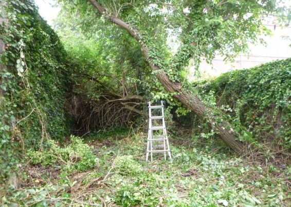 Nettoyage d'un jardin laissé à l'abandon pendant des années pour l'école Sainte Marie à Seraing...