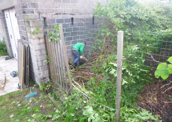 Nettoyage d'un jardin laissé à l'abandon pendant des années pour l'école Sainte Marie à Seraing...