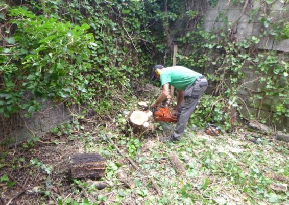 Nettoyage d'un jardin laissé à l'abandon pendant des années pour l'école Sainte Marie à Seraing...