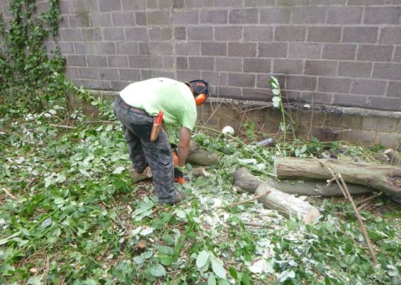 Nettoyage d'un jardin laissé à l'abandon pendant des années pour l'école Sainte Marie à Seraing...