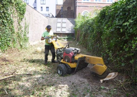 Nettoyage d'un jardin laissé à l'abandon pendant des années pour l'école Sainte Marie à Seraing...