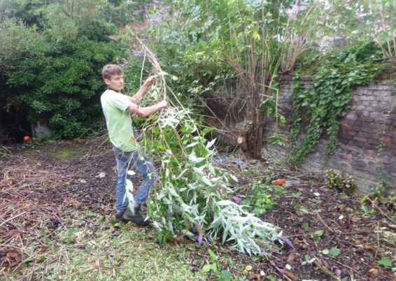 Nettoyage d'un jardin laissé à l'abandon pendant des années pour l'école Sainte Marie à Seraing...
