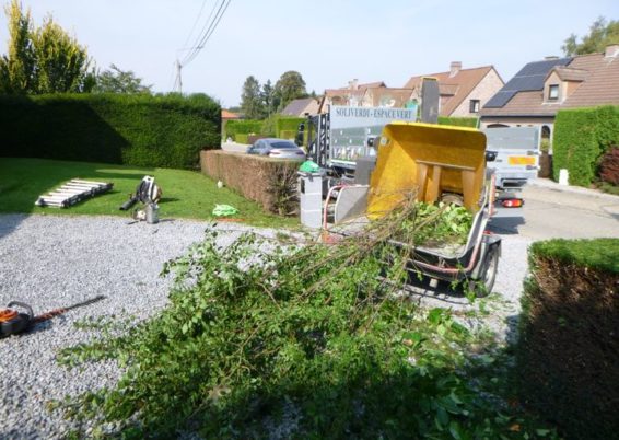 Remise en forme d'un jardin un peut oublié à Horion-Hozémont.

Tailles très fortes de remise à ...