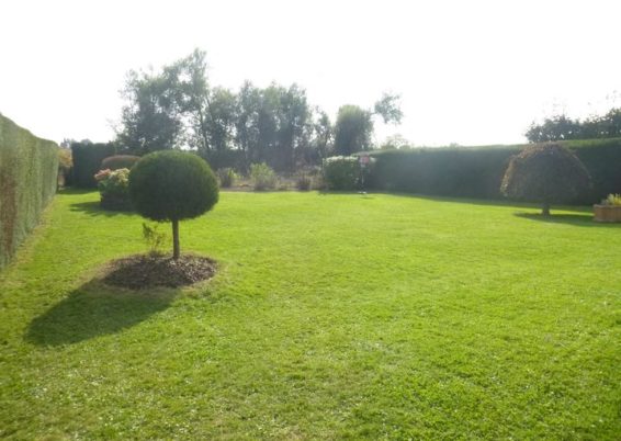 Remise en forme d'un jardin un peut oublié à Horion-Hozémont.

Tailles très fortes de remise à ...