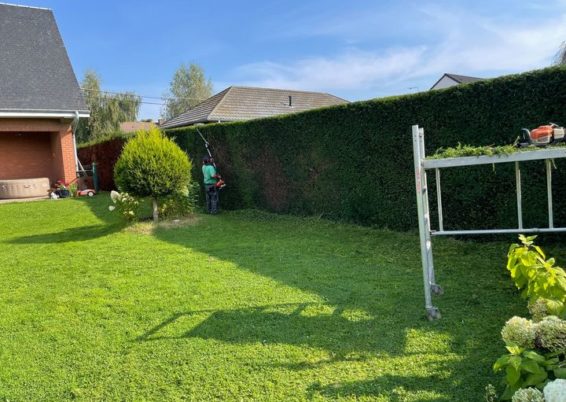 Remise en forme d'un jardin un peut oublié à Horion-Hozémont.

Tailles très fortes de remise à ...