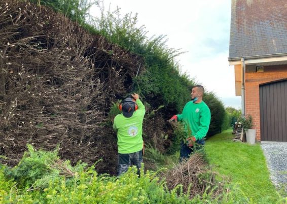 Remise en forme d'un jardin un peut oublié à Horion-Hozémont.

Tailles très fortes de remise à ...