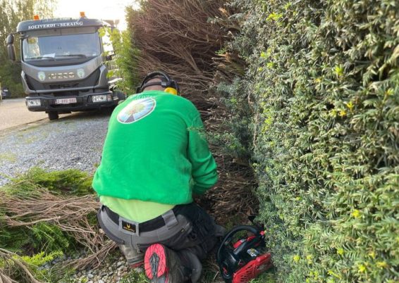 Remise en forme d'un jardin un peut oublié à Horion-Hozémont.

Tailles très fortes de remise à ...