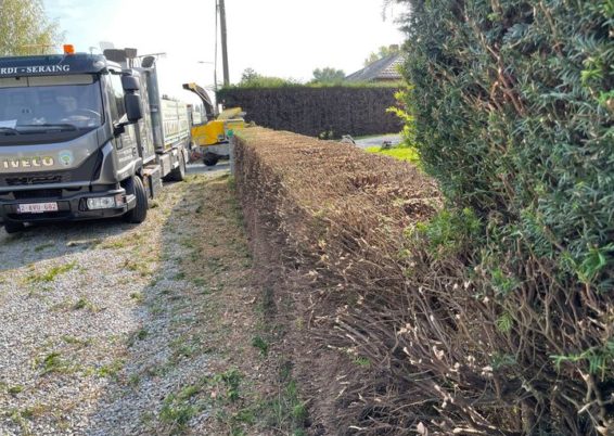 Remise en forme d'un jardin un peut oublié à Horion-Hozémont.

Tailles très fortes de remise à ...