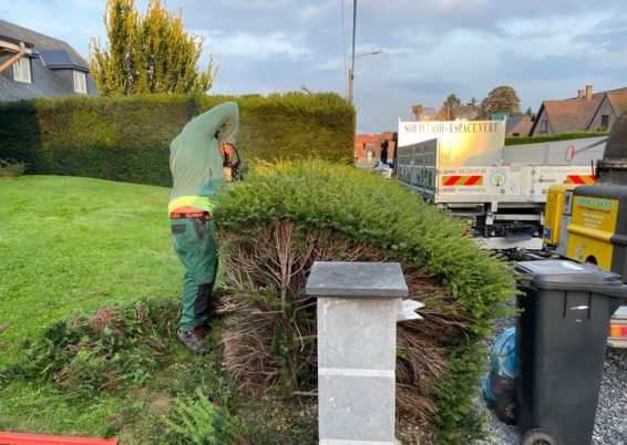 Remise en forme d'un jardin un peut oublié à Horion-Hozémont.

Tailles très fortes de remise à ...